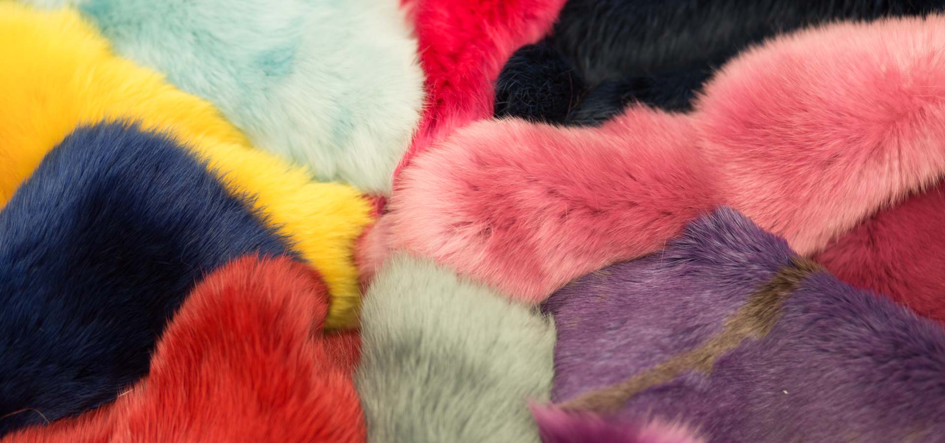 Start Fellnähen Schweiz