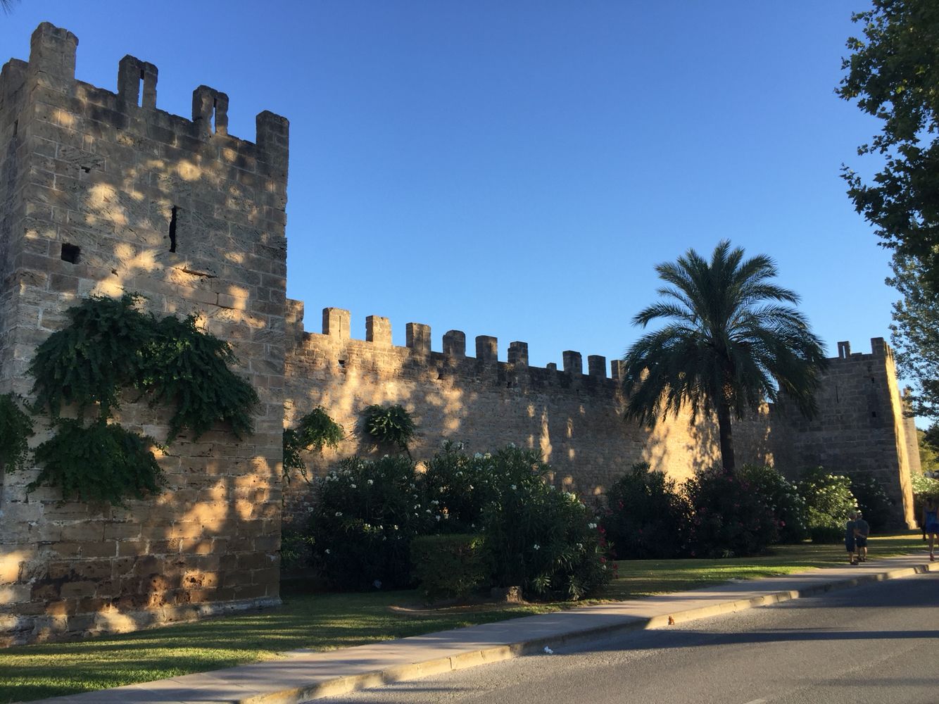 Alcudia