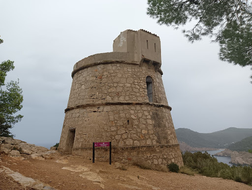 Torre Des Molar