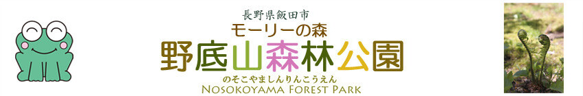 野底山森林公園 モリアオガエルの住む森 長野県飯田市