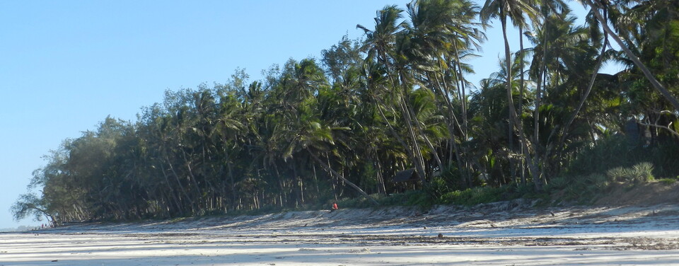 Ferienhaus Kenia Safari Urlaub Kenia