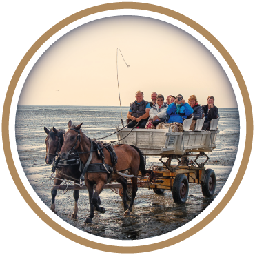 Ferienwohnung Dünenkönig in Cuxhaven Duhnen