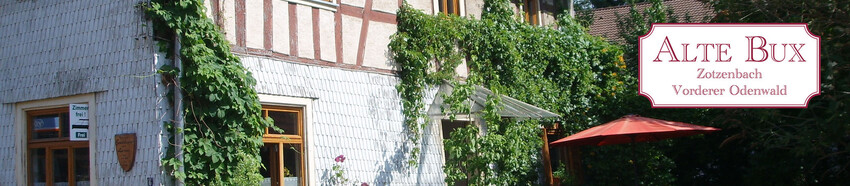 Singletrails weinheim