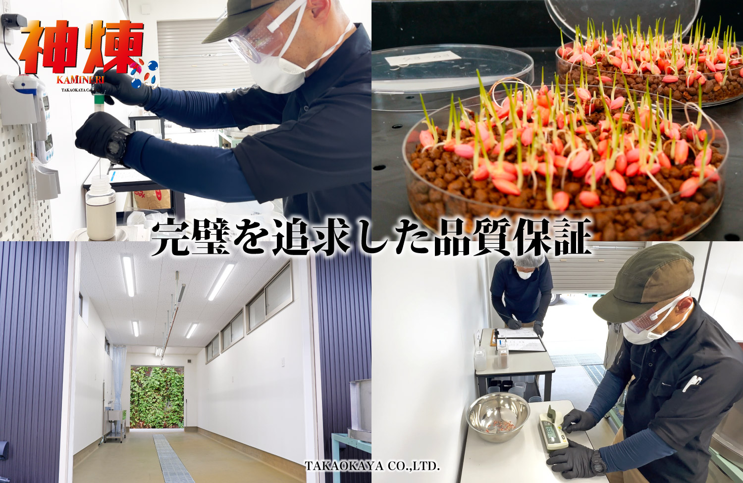 神煉 種子コーティング 品質保証