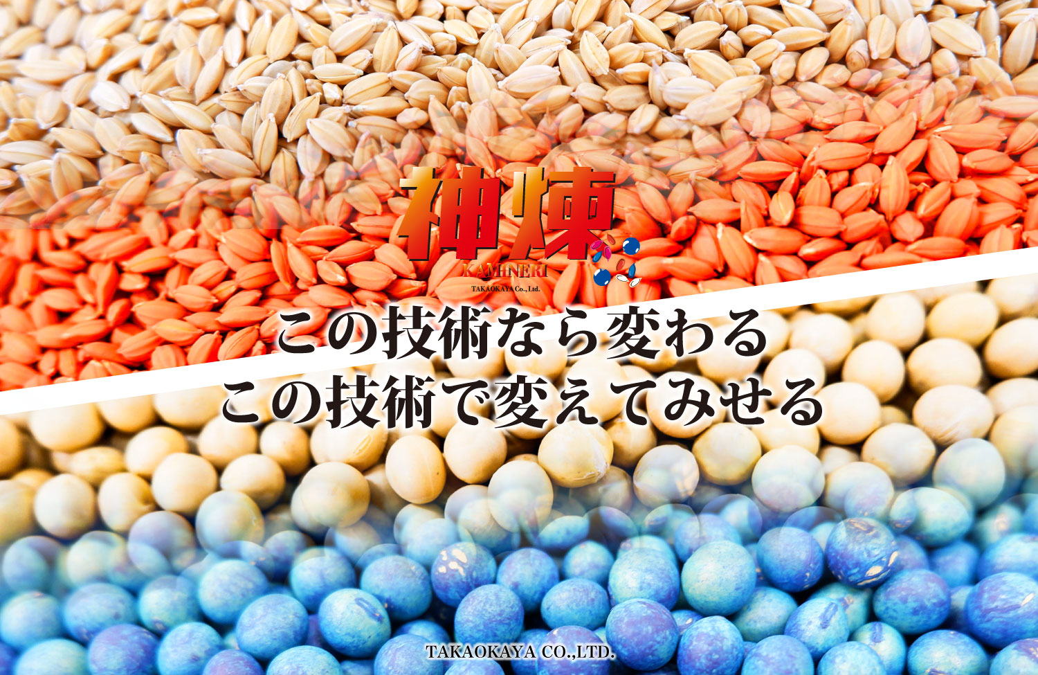 種子コーティング 神煉 農業 最先端技術