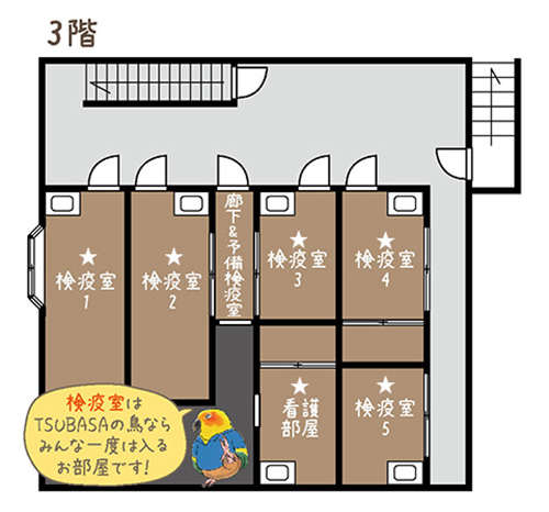 3階