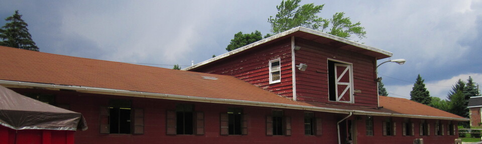 Solly Stables