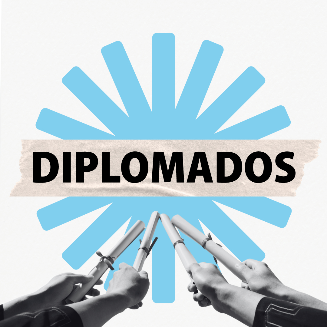 Descripción de la imagen