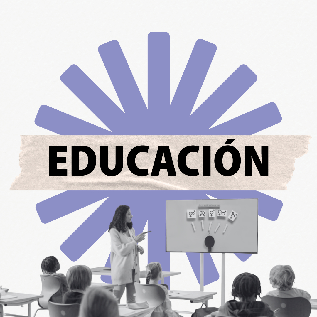Descripción de la imagen