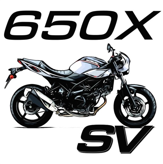 SV 650
