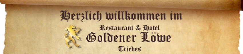 Restaurant Hotel Goldener Loewe In Zeulenroda Triebes