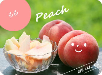 ABE果樹園｜株式会社ABE Fruitオフィシャルサイト - 株式会社ABE Fruit