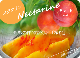 ABE果樹園｜株式会社ABE Fruitオフィシャルサイト - 株式会社ABE Fruit