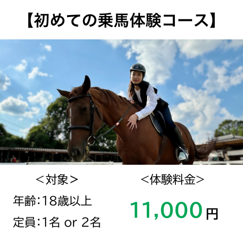 初めての乗馬体験コース