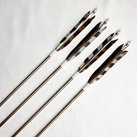 ジュラルミン矢 EASTON1913 XX75 弓道 6本セット