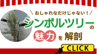 おしゃれなだけじゃない-シンボリツリーの魅力を解剖