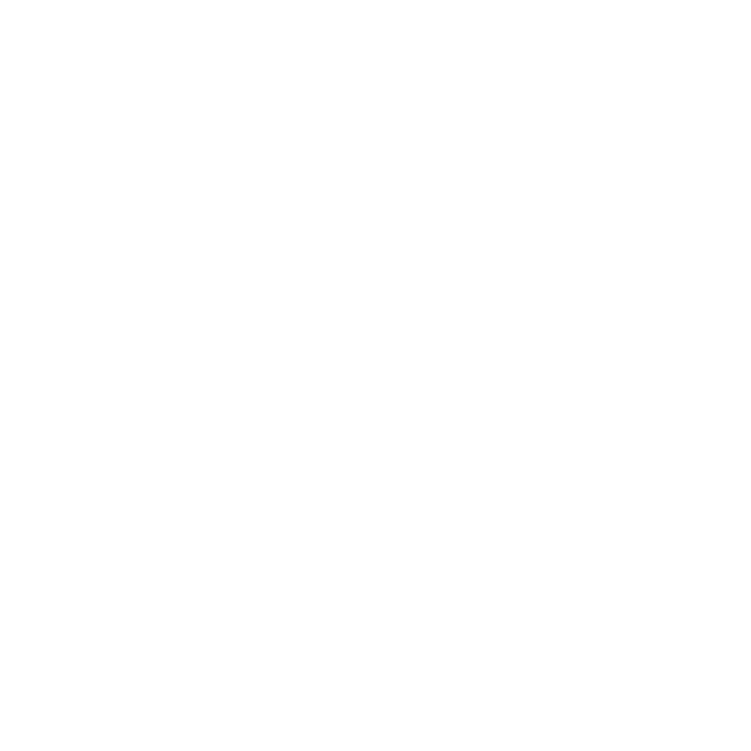 Logo OLCYA
