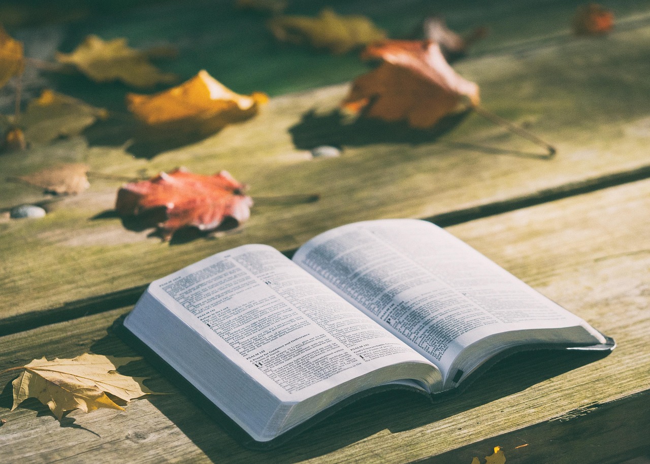 Offene Bibel mit Licht
