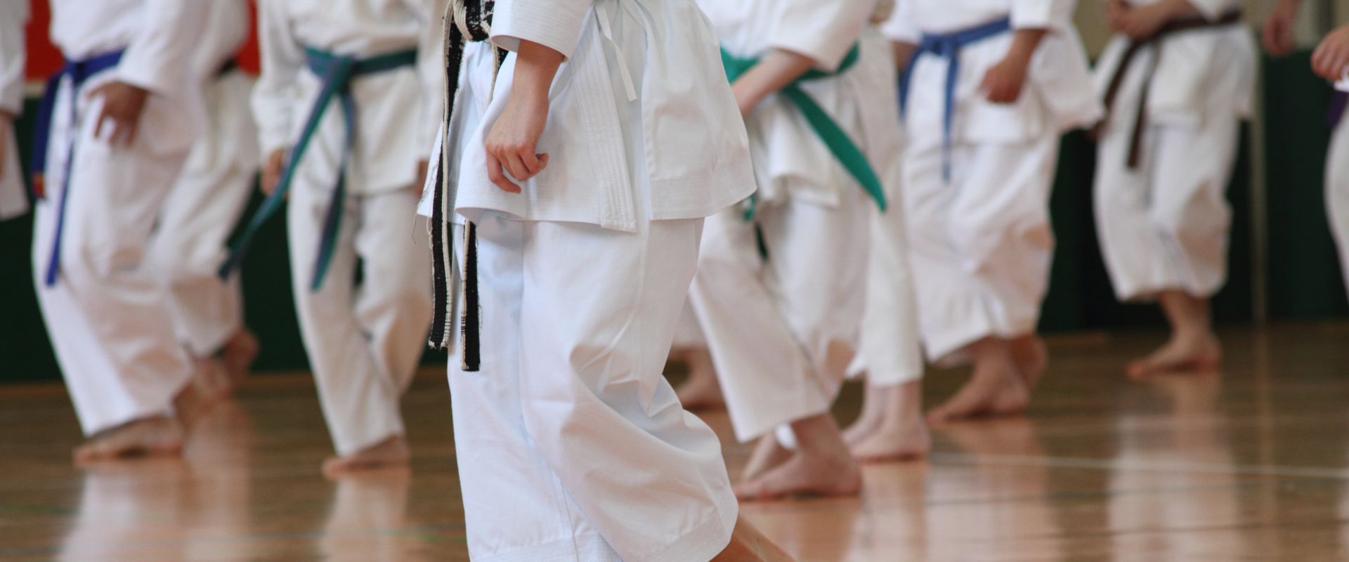 Karate Zerbst