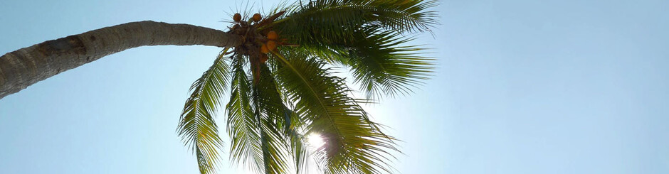 Писка фотодағы үлкен мүшесі