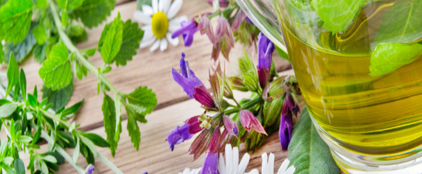 Profile ハーブとアロマ癒し処 Clover Garden