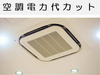 eco1