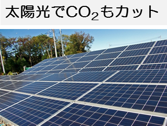 eco4