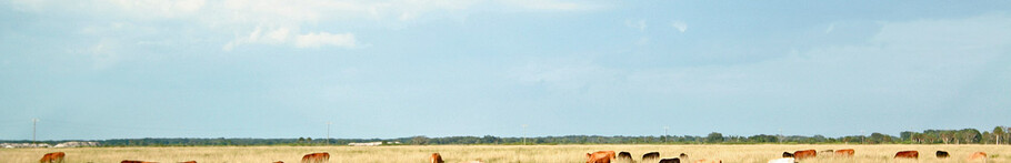 海外日本語教育研究』 第7号 - 海外日本語教育学会