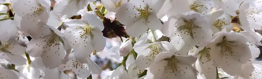 12月28日(月)「最後は気合いだ～」 - 目標を描いて強くジャンプ