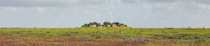 Hallig Hooge Hus Halligland Hallig Hooge