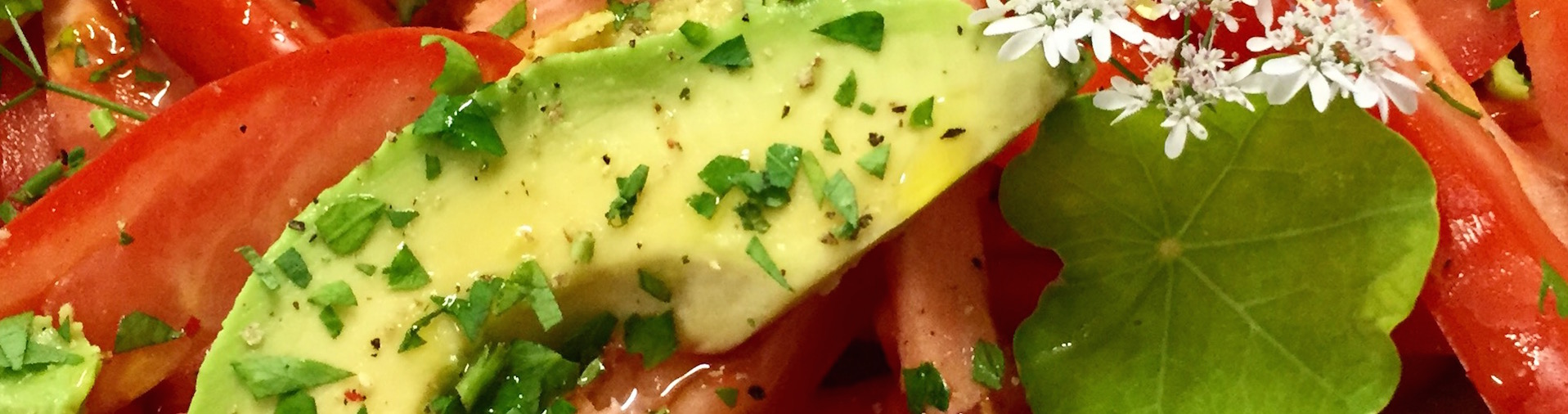 About our yoga & ayurveda detox retreat MoaAlm Mountain Holidays