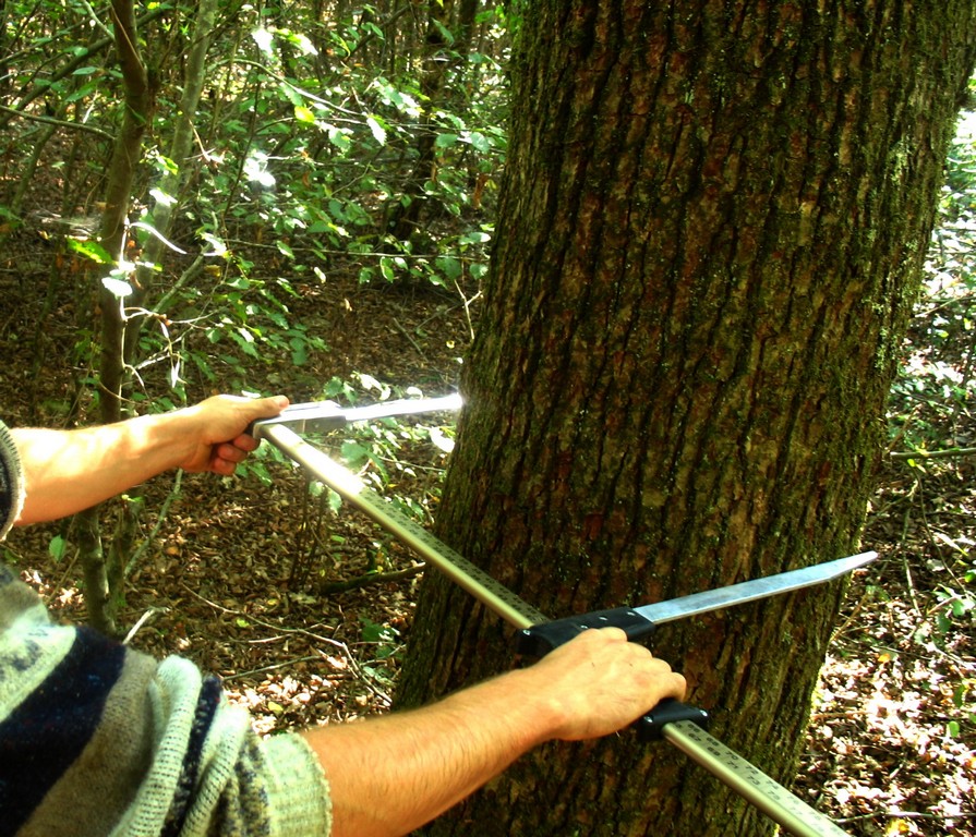 Agence Forestière, gestion d'espaces naturels