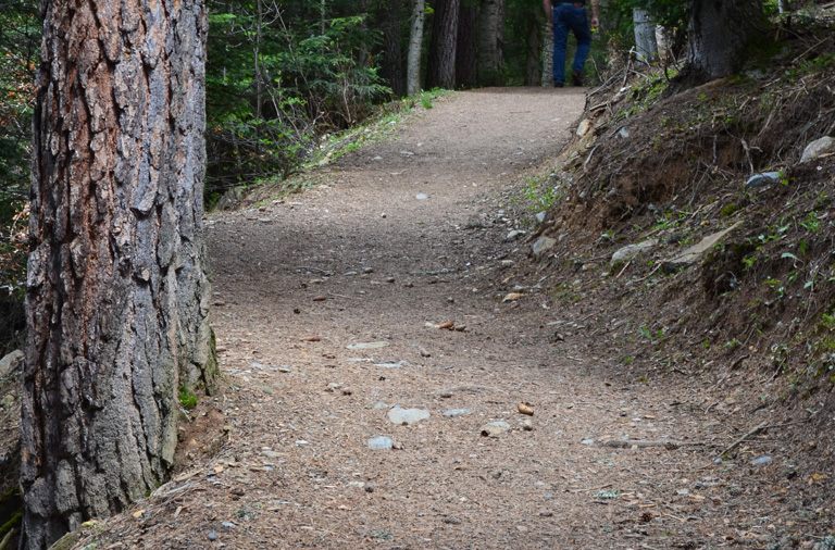 Agence Forestière, votre bien forestier