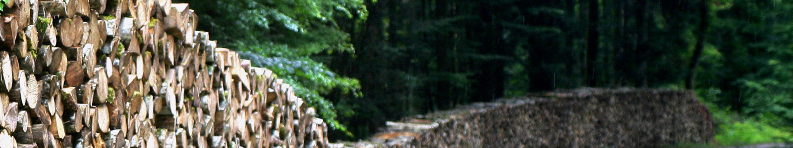 Vous aider à vendre votre bien forestier