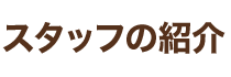 スタッフの紹介