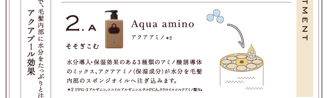 そそぎこむ